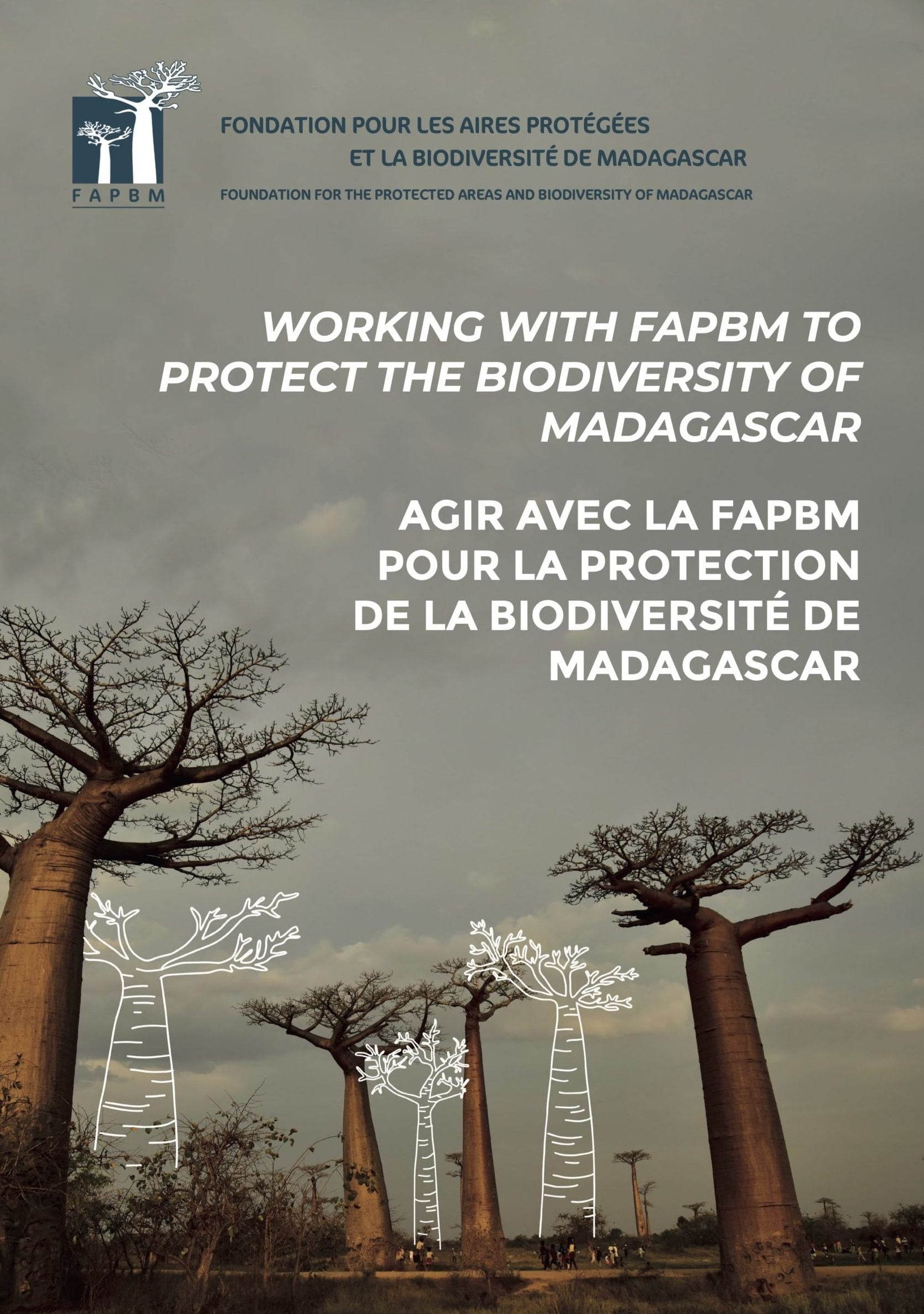 Agir Avec La Fapbm Pour La Protection De La Biodiversité De Madagascar Fondation Pour Les